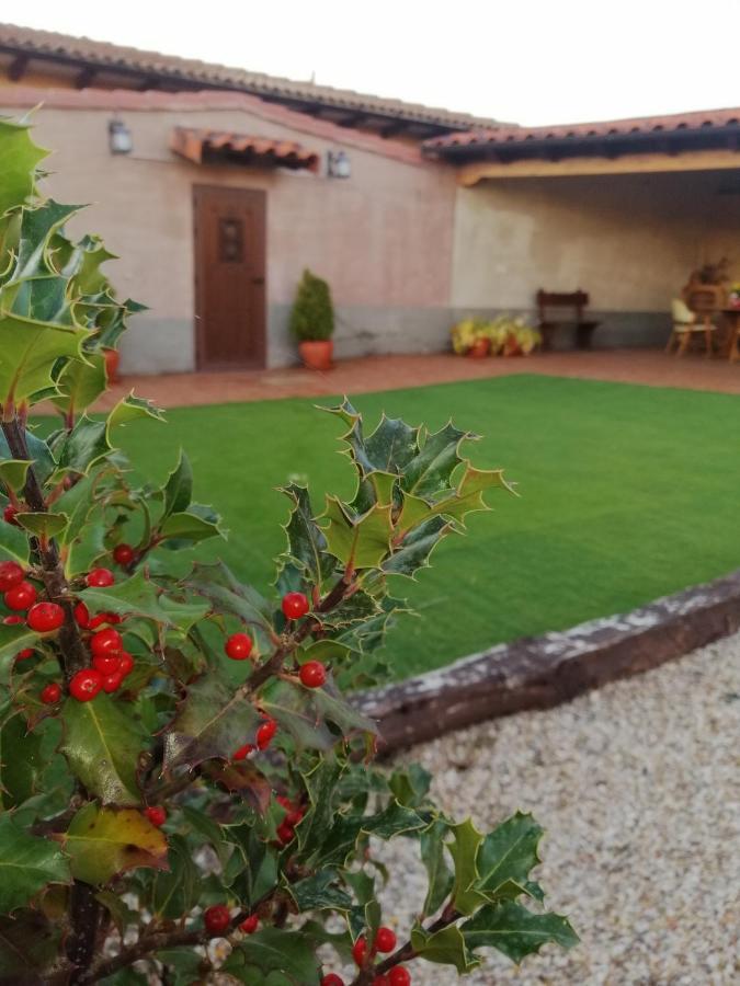 Casa Los Lagares Peral de Arlanza Luaran gambar